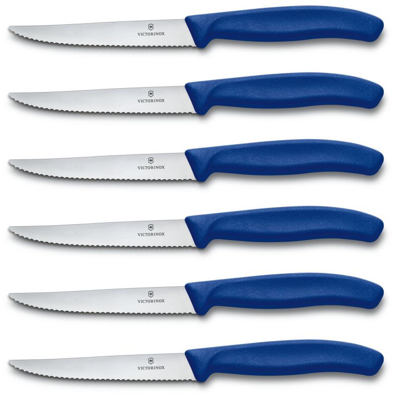 

Набор кухонных ножей Victorinox Swiss Classic 6шт синий (6.7232.6)