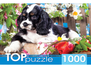 Обучающая игрушка TOPpuzzle 1000 эл. Щенок спаниеля в саду (ГИТП1000-2143 117976)
Обучающая игрушка TOPpuzzle 1000 эл. Щенок спаниеля в саду (ГИТП1000-2143 117976)