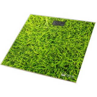 

Напольные весы Home Element HE-SC906 молодая трава