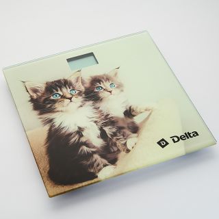 

Напольные весы Delta D-9228
