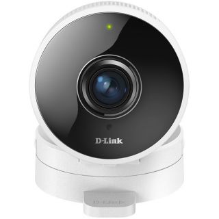 Камера видеонаблюдения D-link DCS-8100LH/A1A