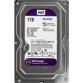 

Жесткий диск Western Digital Purple 1Tb WD10PURZ