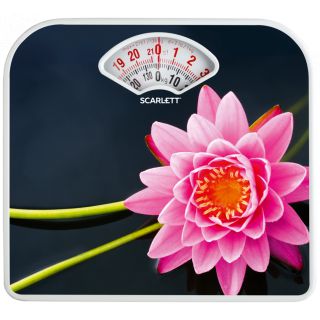 

Напольные весы Scarlett SC-BS33M043 лотос