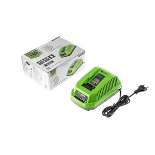 

Зарядное устройство GreenWorks G40C (2904607)