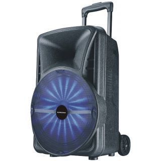 

Портативная акустика Ruimatech VA-8315