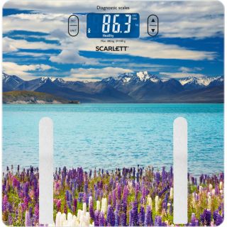 

Напольные весы Scarlett SC-BS33ED11