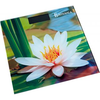 

Напольные весы Василиса ВА-4011 Кувшинка