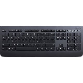

Клавиатура Lenovo Professional Wireless Keyboard черный (4X30H56866)
