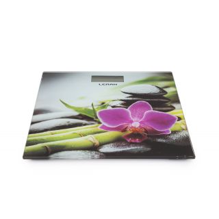

Напольные весы Leran EB9379 01