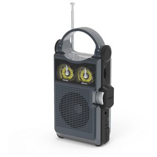 Радиоприёмник Ritmix RPR-333 Carbon радиоприёмник ritmix rpr 065 gray