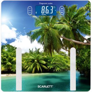 

Напольные весы Scarlett SC-BS33ED12