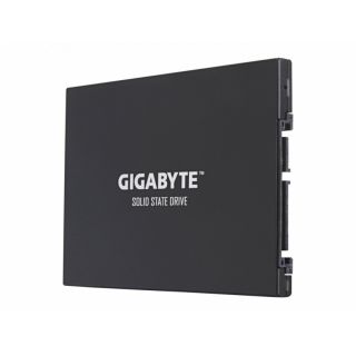 

SSD накопитель Gigabyte GP-GSTFS31480GNTD