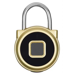 

Умный замок Digma SmartLock R1 золотистый (навесной)