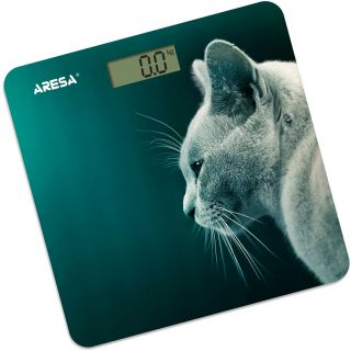 

Напольные весы Aresa AR-4412