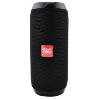 

Портативная акустика T&G TG117 красный