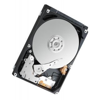 

Жесткий диск Toshiba L200 500Gb (HDWJ105UZSVA)