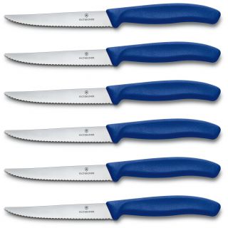 Набор кухонных ножей Victorinox Swiss Classic 6шт синий (6.7232.6)