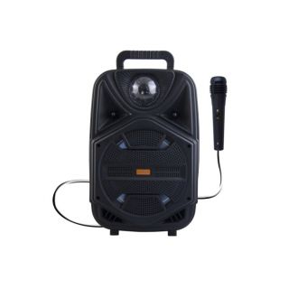 

Портативная акустика Magic Acoustic BK1002 Bravo