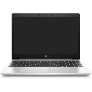 

Ноутбук HP ProBook 455 G7 Free DOS серебристый (1F3M6EA)