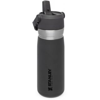 

Термос Stanley Flip Straw серый (10-09697-008)