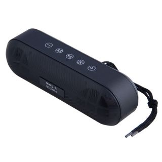 

Портативная акустика Magic Acoustic SK1019BK черный