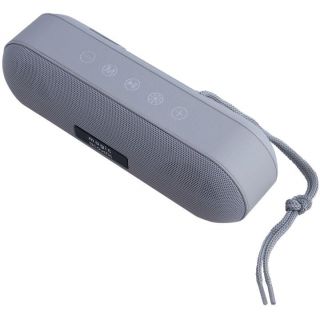 

Портативная акустика Magic Acoustic SK1019GY серый