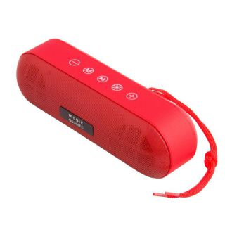 

Портативная акустика Magic Acoustic SK1019R красный