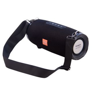 

Портативная акустика Magic Acoustic SK1022BK черный