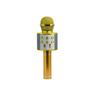 

Микрофон Magic Acoustic MA3001GD