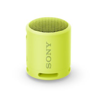 

Портативная акустика Sony SRS-XB13Y желтый