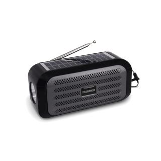 

Портативная акустика Telefunken TF-PS1244B черный с серым