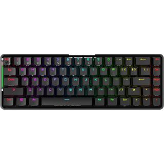 

Клавиатура ASUS ROG Falchion черный (90MP01Y0-BKRA01)