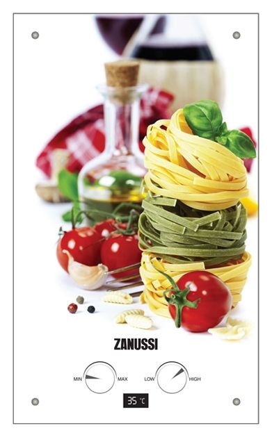 

Водонагреватель Zanussi GWH 10 Fonte Glass La Spezia