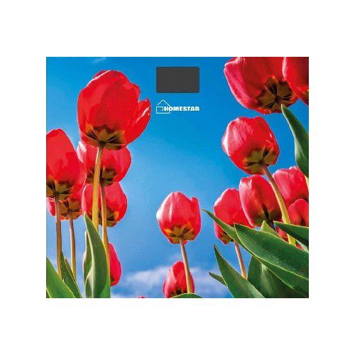 

Напольные весы Homestar HS-6001I (5187)