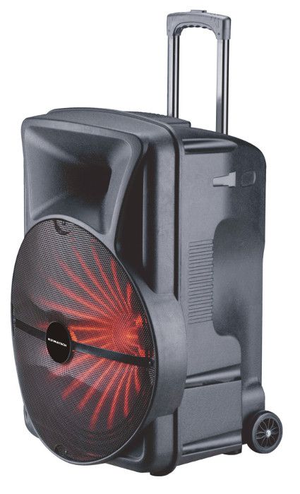 

Портативная акустика Ruimatech VA-8318