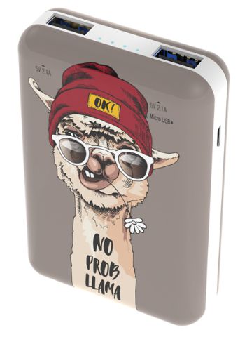 

Внешний аккумулятор Ritmix RPB-10007 Lama
