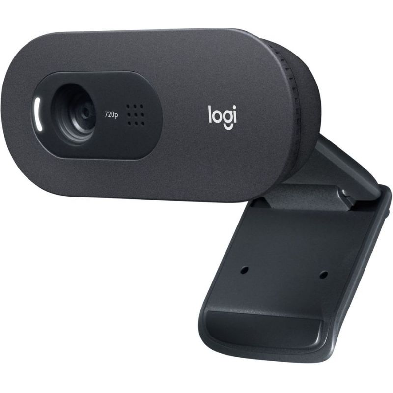 Веб-камера Logitech WebCam C505e черный (960-001372)