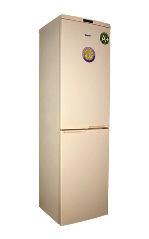 Холодильник DON R 299 золотой песок (Z) бомбер printio золотой песок