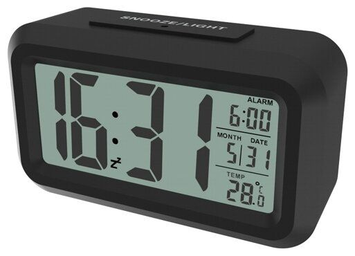

Цифровая метеостанция Ritmix CAT-100 черный