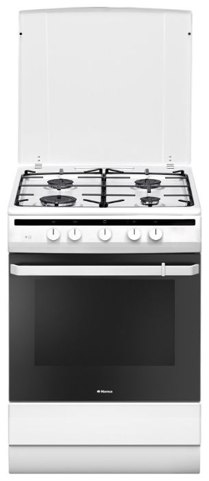 

Газовая плита Hansa FCGW61000