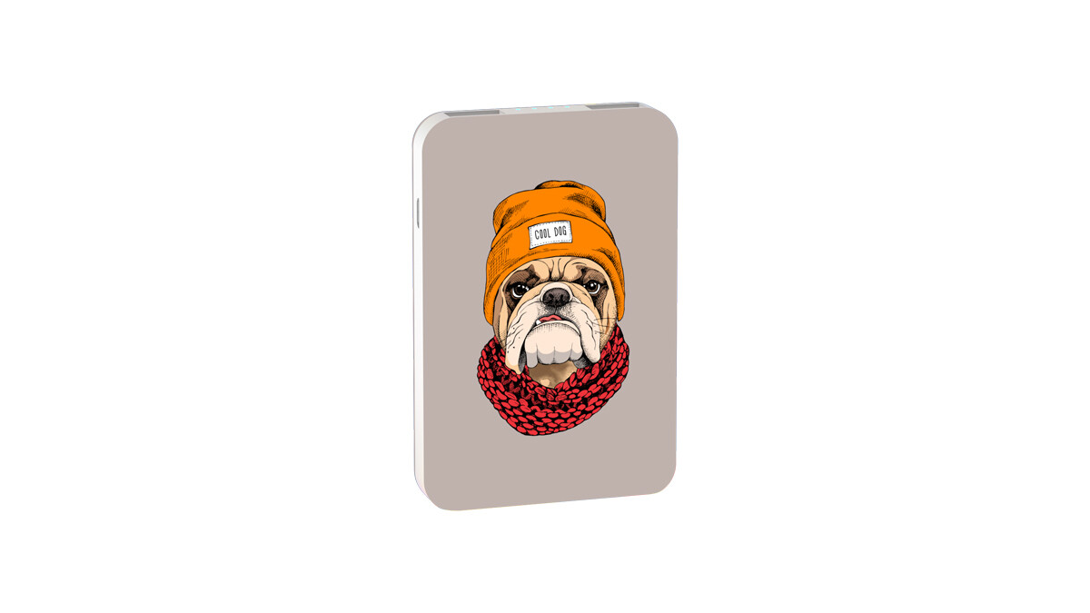 

Внешний аккумулятор Ritmix RPB-10007 Bulldog