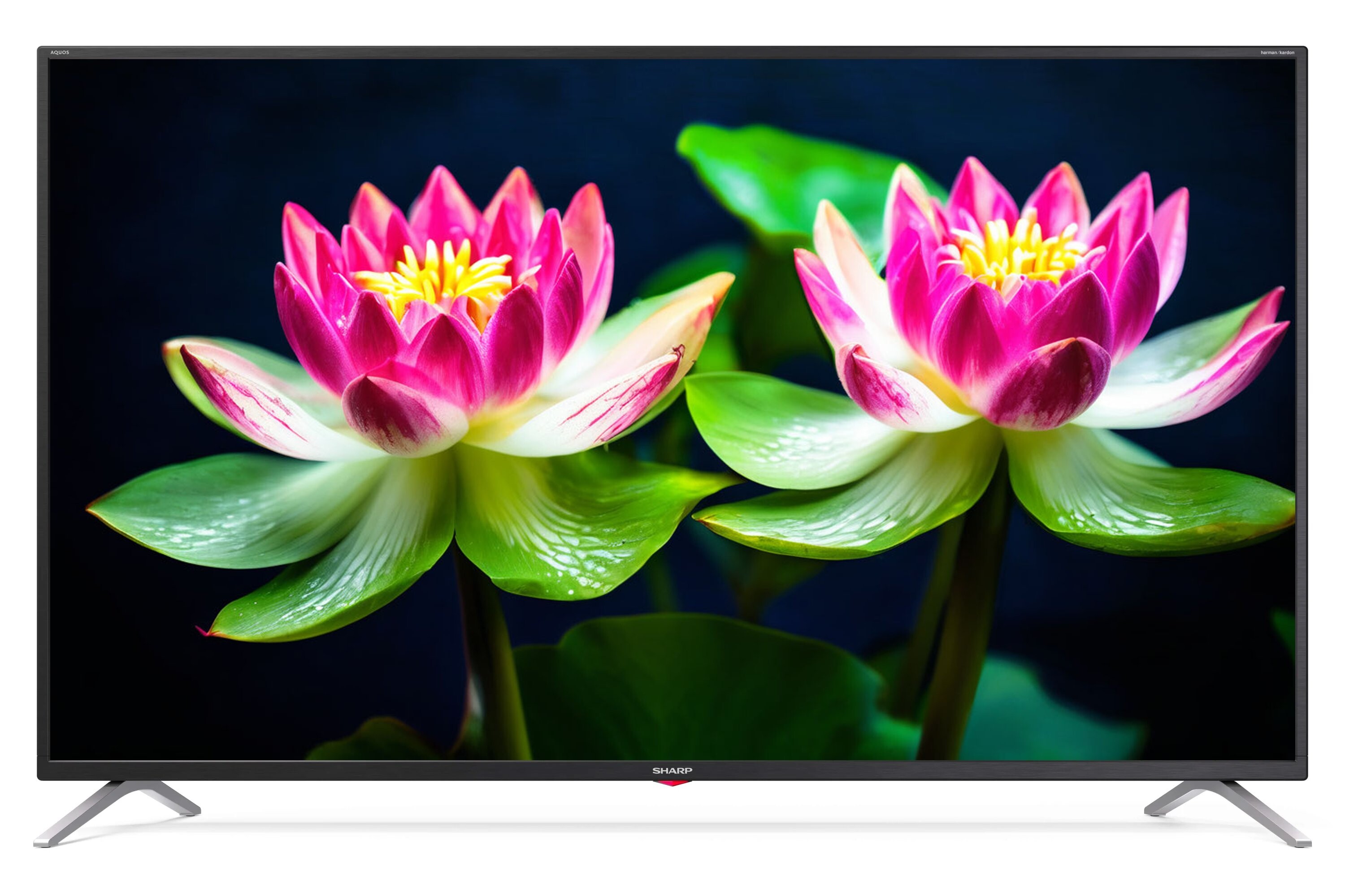 Телевизор Sharp LC55BL3EA