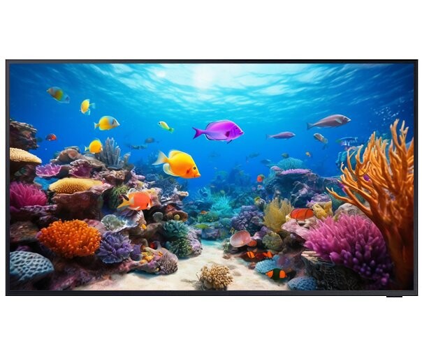

Телевизор Samsung QE55LST7TAUXRU