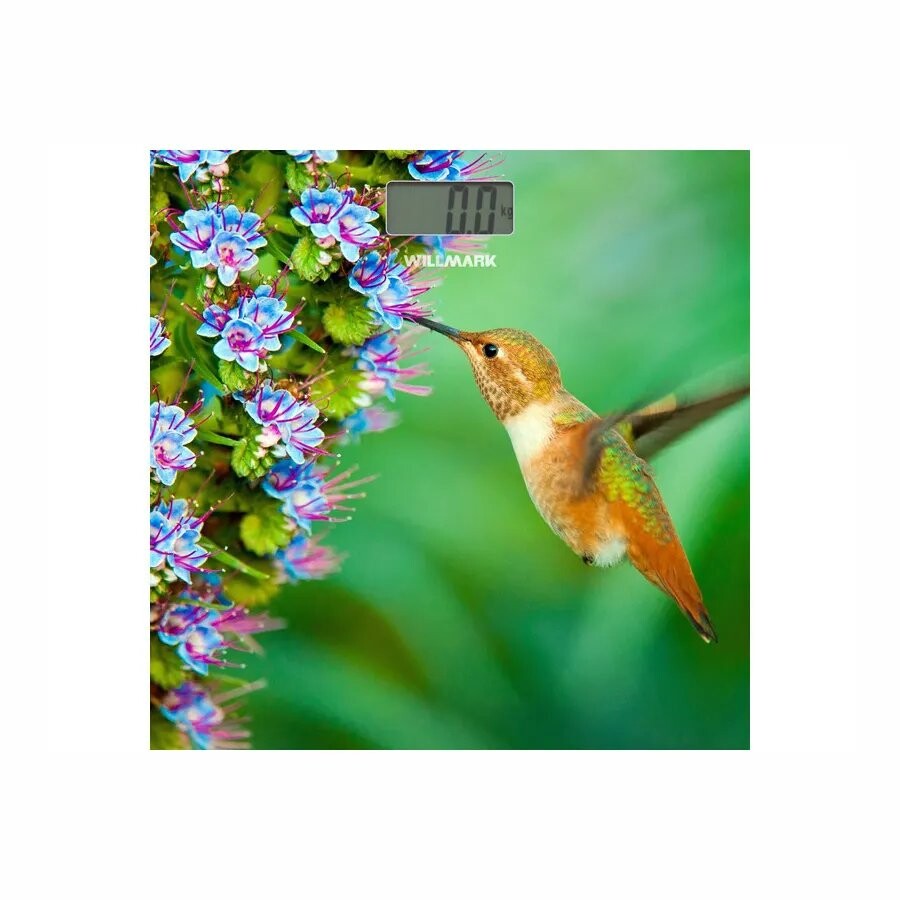 

Напольные весы Willmark WBS-1811D Колибри