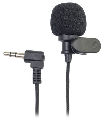 

Микрофон Ritmix RCM-101