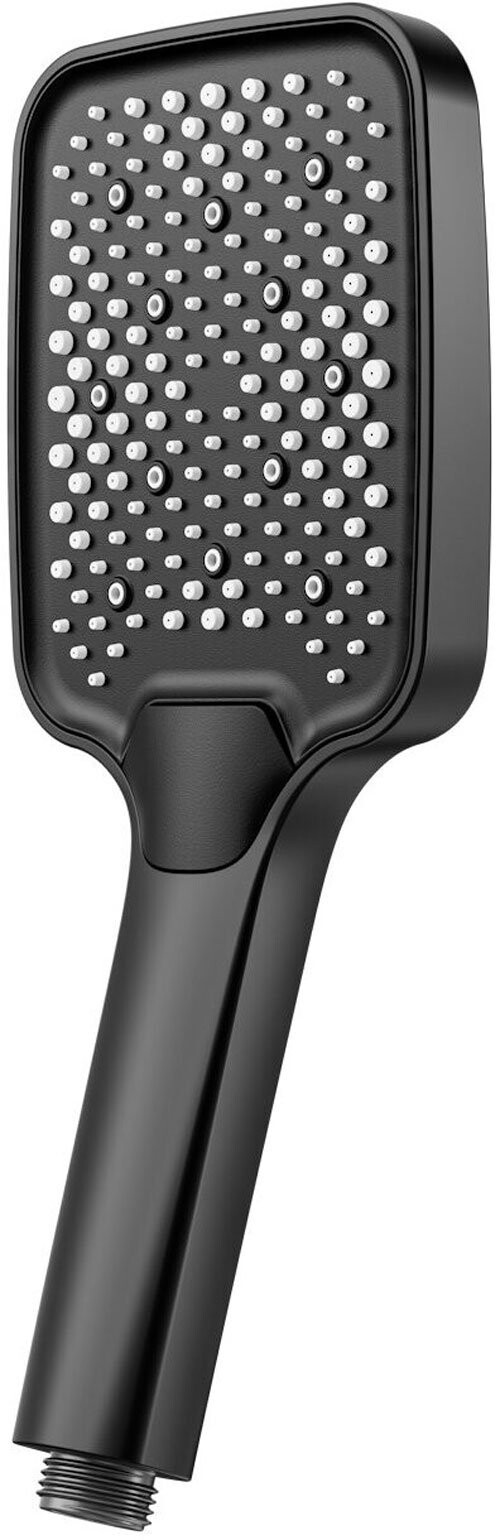 

Душевая лейка Raglo R450.52.06 черный