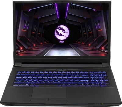 

Ноутбук Hiper G16 Win 11 Pro черный (g16rtx3070c11700w11)
