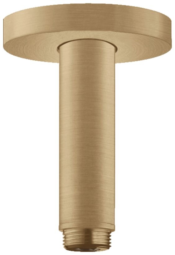 

Держатель для душа HansGrohe 27393140