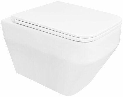 

Унитаз Azario MONEO безободковый, с сидением м/лифт 530х365х370 (AZ-0062)