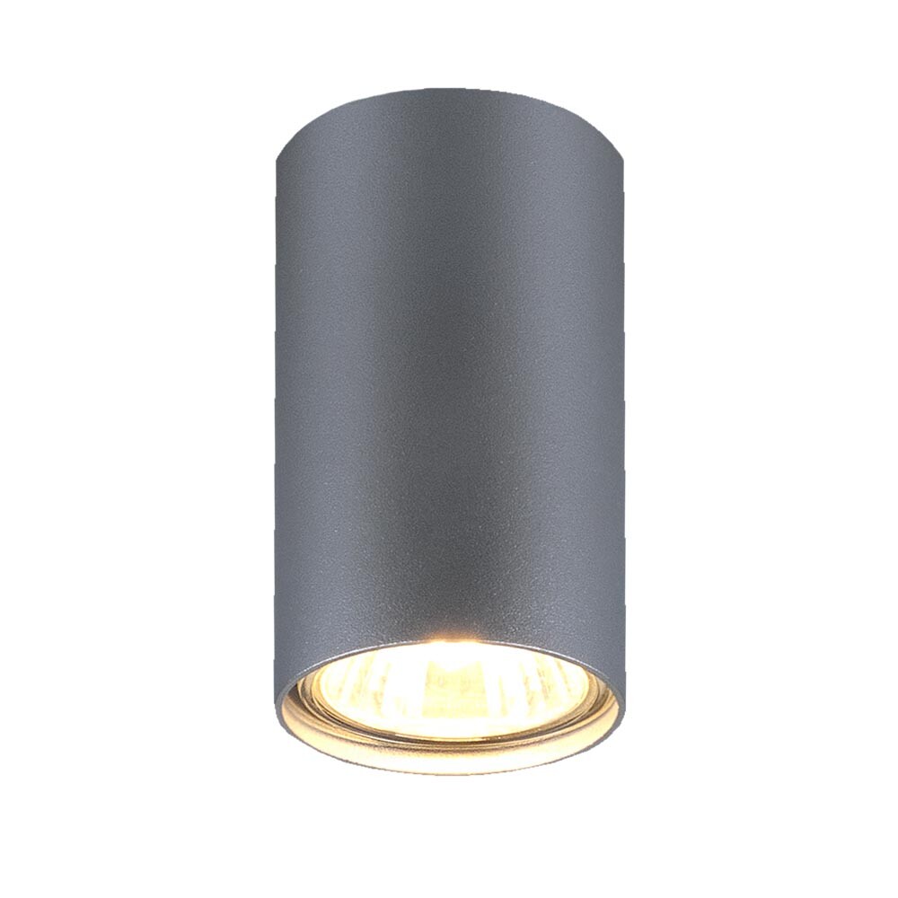 

Потолочный светильник Elektrostandard 1081 GU10 SL серебро 5257 a037714